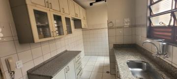 Alugar Apartamento / Padr&atilde;o em S&atilde;o Jos&eacute; do Rio Preto R$ 500,00 - Foto 13
