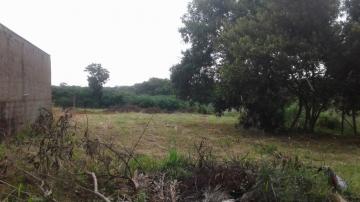 Comprar Terreno / &Aacute;rea em S&atilde;o Jos&eacute; do Rio Preto R$ 1.100.000,00 - Foto 12