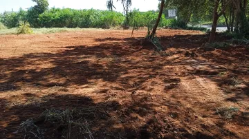 Comprar Terreno / &Aacute;rea em S&atilde;o Jos&eacute; do Rio Preto R$ 1.100.000,00 - Foto 4