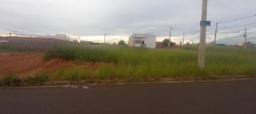 Terreno / Padr&atilde;o em S&atilde;o Jos&eacute; do Rio Preto 