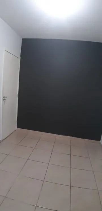 Apartamento / Padr&atilde;o em S&atilde;o Jos&eacute; do Rio Preto 