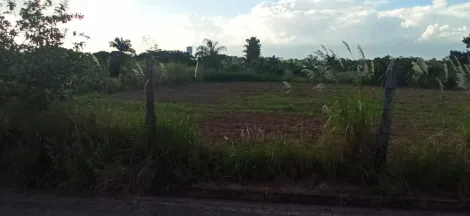 Comprar Terreno / &Aacute;rea em Cedral R$ 180.000,00 - Foto 6