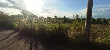 Comprar Terreno / &Aacute;rea em Cedral R$ 180.000,00 - Foto 8