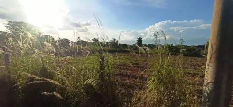 Comprar Terreno / &Aacute;rea em Cedral R$ 180.000,00 - Foto 11