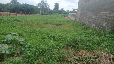 Terreno / &Aacute;rea em Cedral 