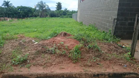Comprar Terreno / &Aacute;rea em Cedral R$ 180.000,00 - Foto 3