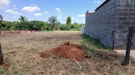 Comprar Terreno / &Aacute;rea em Cedral R$ 180.000,00 - Foto 4