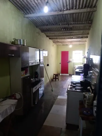 Alugar Casa / Padr&atilde;o em S&atilde;o Jos&eacute; do Rio Preto R$ 600,00 - Foto 4
