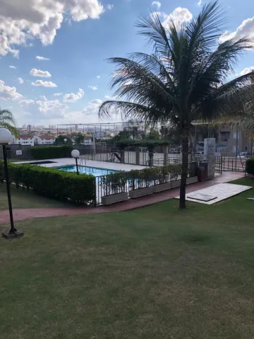 Alugar Apartamento / Padr&atilde;o em S&atilde;o Jos&eacute; do Rio Preto R$ 800,00 - Foto 16