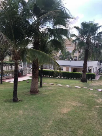 Alugar Apartamento / Padr&atilde;o em S&atilde;o Jos&eacute; do Rio Preto R$ 800,00 - Foto 19