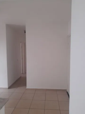 Alugar Apartamento / Padr&atilde;o em S&atilde;o Jos&eacute; do Rio Preto R$ 800,00 - Foto 7