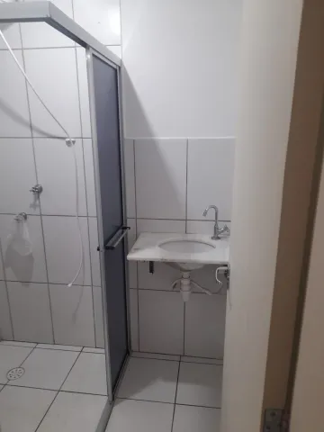 Alugar Apartamento / Padr&atilde;o em S&atilde;o Jos&eacute; do Rio Preto R$ 800,00 - Foto 12