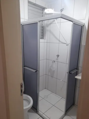Alugar Apartamento / Padr&atilde;o em S&atilde;o Jos&eacute; do Rio Preto R$ 800,00 - Foto 13