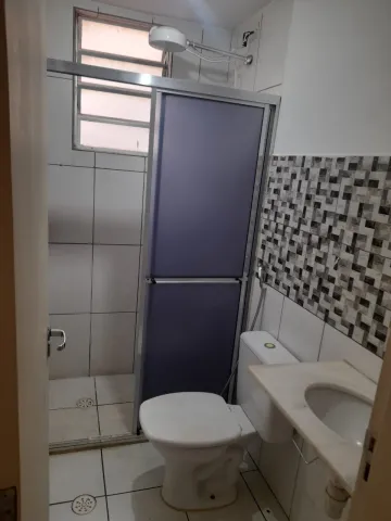 Alugar Apartamento / Padr&atilde;o em S&atilde;o Jos&eacute; do Rio Preto R$ 800,00 - Foto 14
