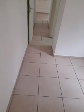 Alugar Apartamento / Padr&atilde;o em S&atilde;o Jos&eacute; do Rio Preto R$ 800,00 - Foto 6