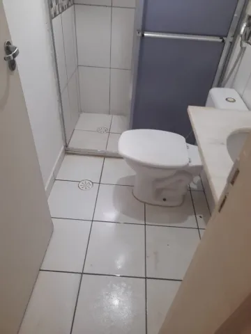 Alugar Apartamento / Padr&atilde;o em S&atilde;o Jos&eacute; do Rio Preto R$ 800,00 - Foto 15