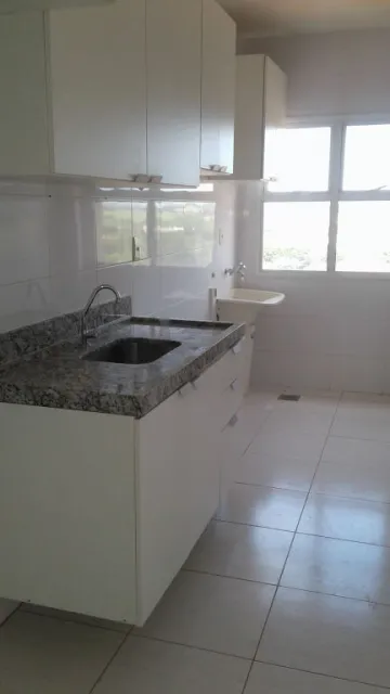 Alugar Apartamento / Padr&atilde;o em S&atilde;o Jos&eacute; do Rio Preto R$ 1.350,00 - Foto 4