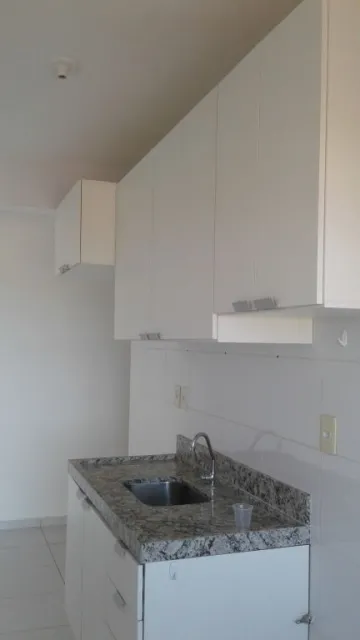 Alugar Apartamento / Padr&atilde;o em S&atilde;o Jos&eacute; do Rio Preto R$ 1.350,00 - Foto 7