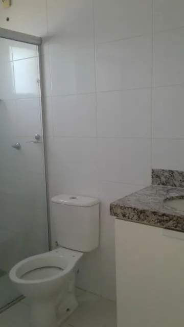Alugar Apartamento / Padr&atilde;o em S&atilde;o Jos&eacute; do Rio Preto R$ 1.350,00 - Foto 13