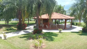 Comprar Rural / Rancho em Mira Estrela R$ 3.000.000,00 - Foto 14