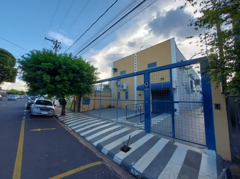 Comercial / Sal&atilde;o em S&atilde;o Jos&eacute; do Rio Preto 
