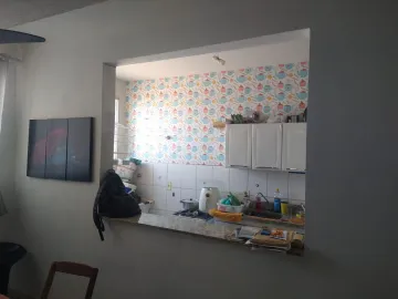 Alugar Apartamento / Padr&atilde;o em S&atilde;o Jos&eacute; do Rio Preto R$ 1.000,00 - Foto 3