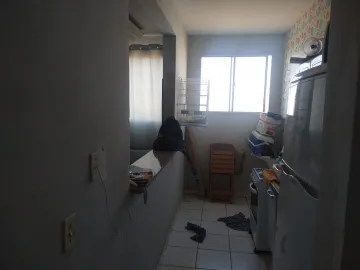 Alugar Apartamento / Padr&atilde;o em S&atilde;o Jos&eacute; do Rio Preto R$ 1.000,00 - Foto 4