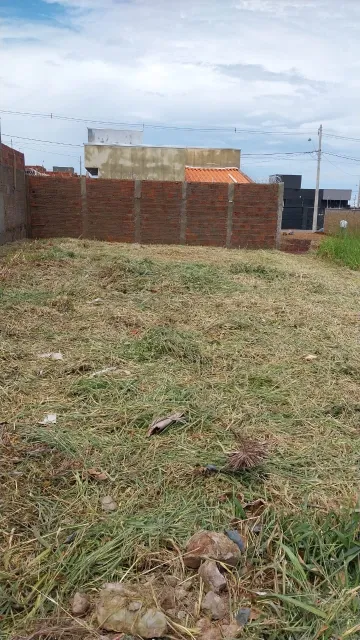 Comprar Terreno / Padr&atilde;o em S&atilde;o Jos&eacute; do Rio Preto R$ 100.000,00 - Foto 2
