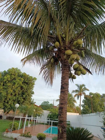 Comprar Rural / Ch&aacute;cara em S&atilde;o Jos&eacute; do Rio Preto R$ 650.000,00 - Foto 9