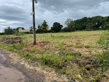Comprar Terreno / &Aacute;rea em Bady Bassitt R$ 955.000,00 - Foto 2
