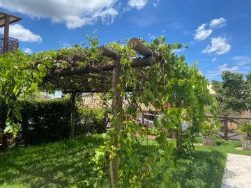 Comprar Casa / Condom&iacute;nio em Mendon&ccedil;a R$ 2.500.000,00 - Foto 5