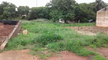 Comprar Terreno / Padr&atilde;o em S&atilde;o Jos&eacute; do Rio Preto R$ 90.000,00 - Foto 5