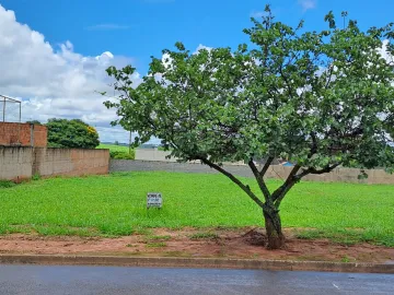 Comprar Terreno / Condom&iacute;nio em Mirassol R$ 180.000,00 - Foto 3