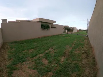 Comprar Terreno / Condom&iacute;nio em Ipigu&aacute; R$ 100.000,00 - Foto 3