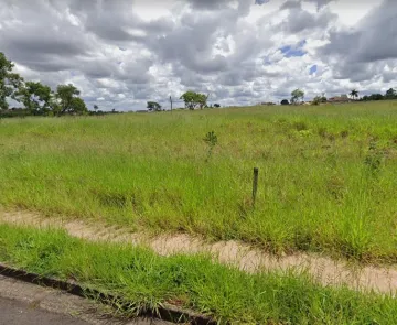 Terreno / Padr&atilde;o em S&atilde;o Jos&eacute; do Rio Preto 