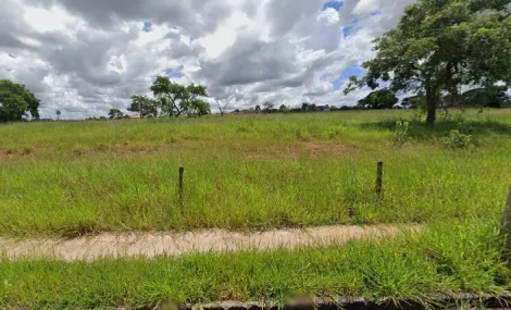Terreno / Padr&atilde;o em S&atilde;o Jos&eacute; do Rio Preto 