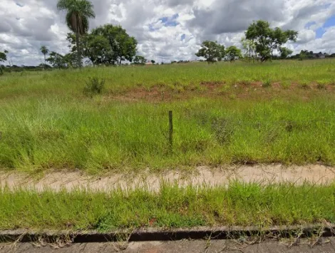 Terreno / Padr&atilde;o em S&atilde;o Jos&eacute; do Rio Preto 