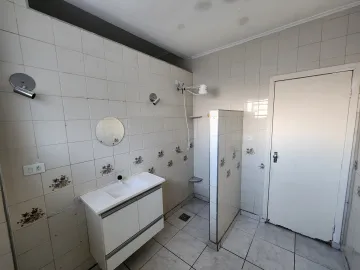 Alugar Apartamento / Padr&atilde;o em S&atilde;o Jos&eacute; do Rio Preto R$ 800,00 - Foto 9