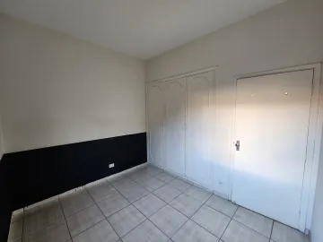 Alugar Apartamento / Padr&atilde;o em S&atilde;o Jos&eacute; do Rio Preto R$ 800,00 - Foto 14