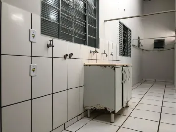 Alugar Casa / Padr&atilde;o em S&atilde;o Jos&eacute; do Rio Preto R$ 1.600,00 - Foto 14