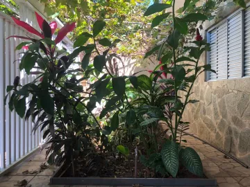 Alugar Casa / Padr&atilde;o em S&atilde;o Jos&eacute; do Rio Preto R$ 1.600,00 - Foto 22
