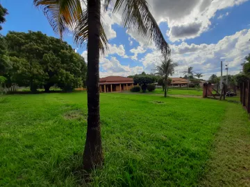 Comprar Rural / Ch&aacute;cara em Cedral R$ 1.200.000,00 - Foto 3