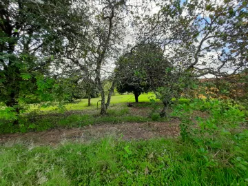 Comprar Rural / Ch&aacute;cara em Cedral R$ 1.200.000,00 - Foto 30