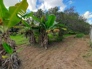 Comprar Rural / Ch&aacute;cara em Cedral R$ 1.200.000,00 - Foto 32