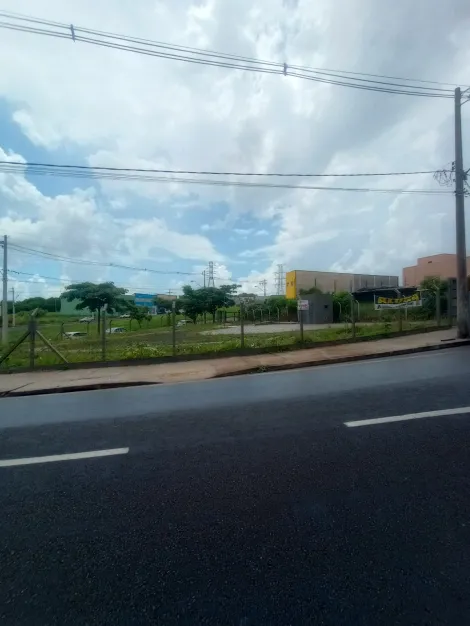 Alugar Terreno / Padr&atilde;o em S&atilde;o Jos&eacute; do Rio Preto R$ 5.000,00 - Foto 7