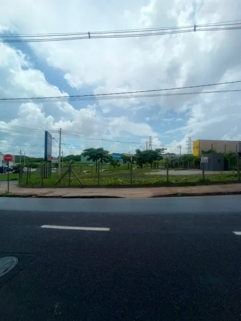 Alugar Terreno / Padr&atilde;o em S&atilde;o Jos&eacute; do Rio Preto R$ 5.000,00 - Foto 9