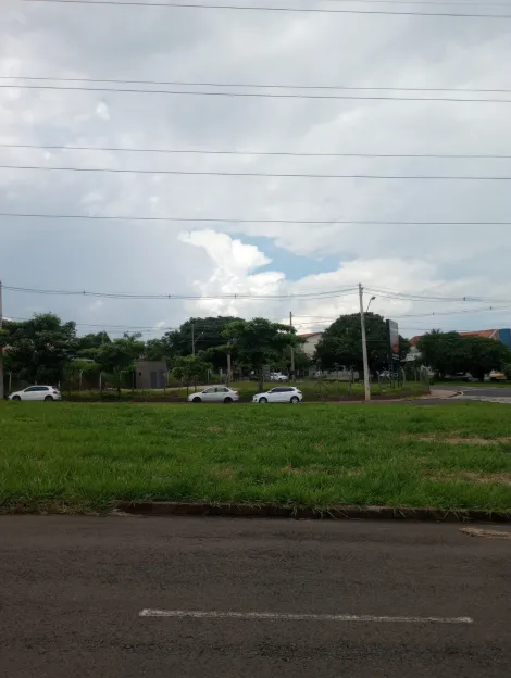 Alugar Terreno / Padr&atilde;o em S&atilde;o Jos&eacute; do Rio Preto R$ 5.000,00 - Foto 10
