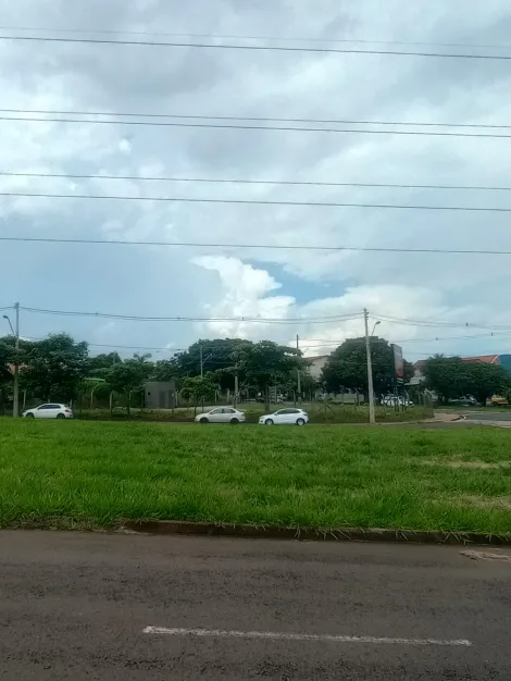 Alugar Terreno / Padr&atilde;o em S&atilde;o Jos&eacute; do Rio Preto R$ 5.000,00 - Foto 11