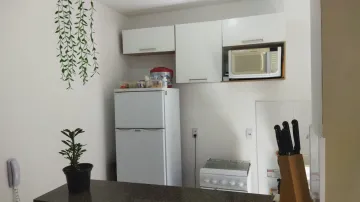 Alugar Apartamento / Padr&atilde;o em S&atilde;o Jos&eacute; do Rio Preto. apenas R$ 195.000,00