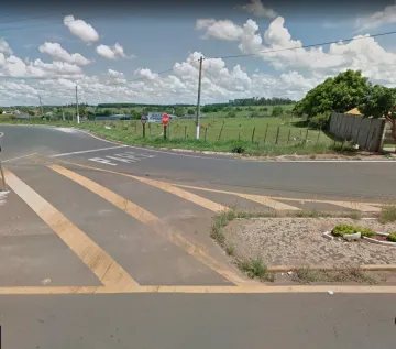 Comprar Terreno / &Aacute;rea em Fernand&oacute;polis R$ 7.000.000,00 - Foto 2